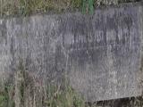 image of grave number 595116